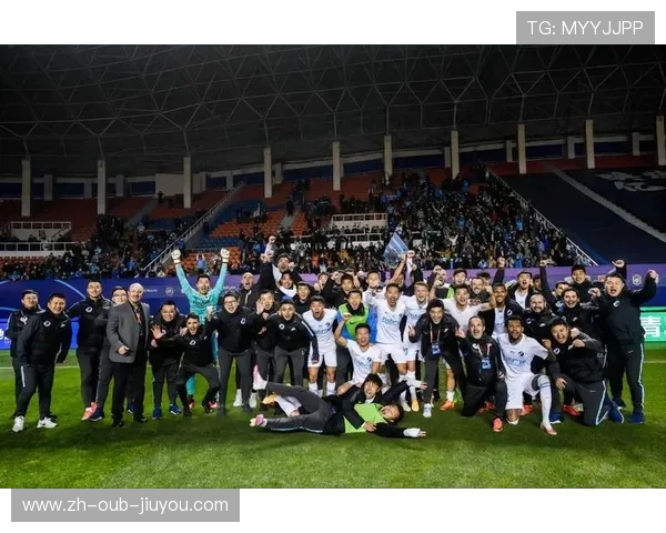 法甲外援市场适应性研究及其对球队竞争力的影响